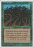 Wall of Wood [Fourth Edition]