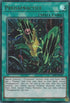 Predapractice (LED5-EN047) [Legendary Duelists: Immortal Destiny]