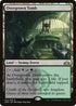 Overgrown Tomb (253) [Promo Pack: Throne of Eldraine]
