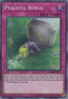 Peaceful Burial (CHIM-EN077) [Chaos Impact]