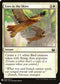 Eyes in the Skies (5) [Mystery Booster Cards]