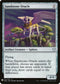 Sandstone Oracle (213) [Mystery Booster Cards]