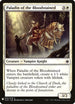 Paladin of the Bloodstained (25) [Mystery Booster Cards]