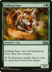 Stalking Tiger (28) [Mystery Booster Cards]