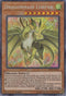 Dragonmaid Lorpar (MYFI-EN021) [Mystic Fighters]