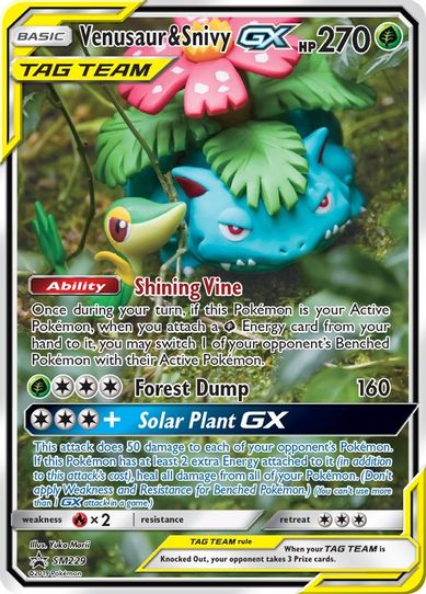 Venusaur & Snivy GX - SM (SM229) [SM Promos]