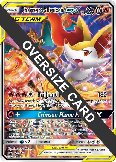 Charizard & Braixen GX 230 (SM Black Star Promo) (SM230) [First Partner Pack Jumbo Cards]