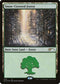 Snow-Covered Forest (5) [Secret Lair Drop Series]