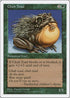 Chub Toad [Fifth Edition]