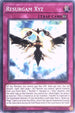 Resurgam Xyz (IGAS-EN074) [Ignition Assault]