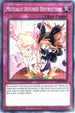 Mutually Affured Destruction (IGAS-EN078) [Ignition Assault]