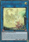 Protector Whelp of the Destruction Swordsman (DUOV-EN008) [Duel Overload]