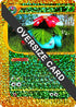 Venusaur 4/12 (Box Topper) (4/12) [First Partner Pack Jumbo Cards]