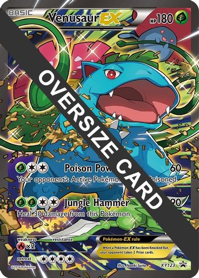 Venusaur EX XY123 (XY123) [First Partner Pack Jumbo Cards]