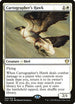 Cartographer's Hawk (24) [Commander 2020]