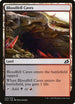 Bloodfell Caves (243) [Ikoria: Lair of Behemoths]