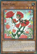 Rose Girl (ETCO-EN081) [Eternity Code]