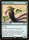Birds of Paradise (92) [Secret Lair Drop Series]