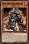 Sublimation Knight (TOCH-EN013) [Toon Chaos]