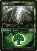 Forest (Showcase) (313) [Core Set 2021]