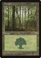 Forest (Slanted Tree) (204) [Portal]