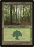 Forest (Slanted Tree) (204) [Portal]
