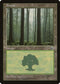 Forest (Ferns on Ground) (205) [Portal]