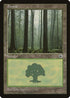 Forest (Ferns on Ground) (205) [Portal]