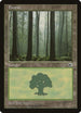 Forest (Ferns on Ground) (205) [Portal]