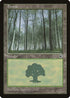 Forest (Pale Trees) (206) [Portal]