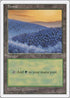 Forest (449) [Fifth Edition]