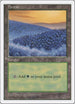 Forest (449) [Fifth Edition]
