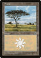 Plains (No Flowers) (217) [Portal]