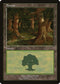 Forest - Nottingham (11) [European Lands]