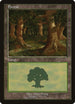 Forest - Nottingham (11) [European Lands]