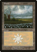 Plains - Lowlands, Netherlands (9) [European Lands]
