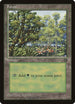 Forest [Arena Promos]