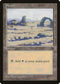 Plains [Arena Promos]