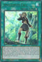 Amazoness Call (Green) (LDS1-EN024) [Legendary Duelists: Season 1]