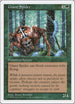 Giant Spider [Fifth Edition]