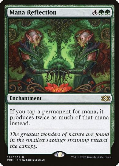 Mana Reflection (175) [Double Masters]