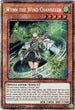 Wynn the Wind Channeler (Starlight Rare) (ROTD-EN086) [Rise of the Duelist]