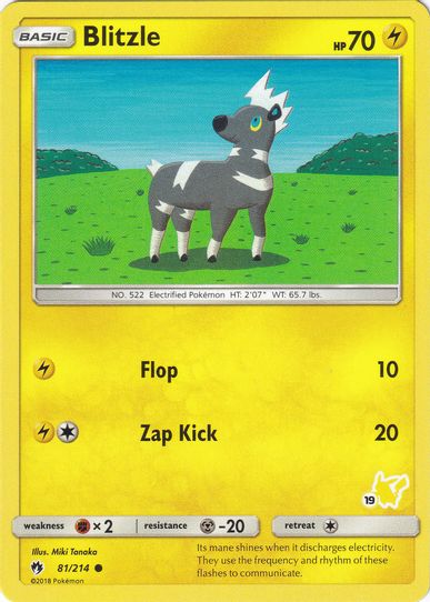 Blitzle (# Pikachu Stamped) (81/214) [Battle Academy]