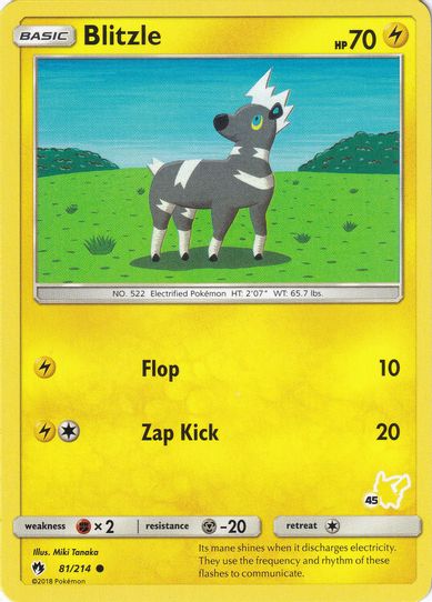 Blitzle (# Pikachu Stamped) (81/214) [Battle Academy]