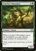 Conclave Naturalists (160) [Double Masters]