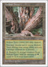 Hollow Trees [Fifth Edition]
