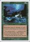 Hurricane [Fifth Edition]