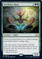 Seedborn Muse (4) [Commander Collection: Green]
