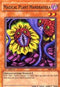 Magical Plant Mandragola (MFC-072) [Magician's Force]