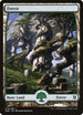 Forest - Full Art (279) [Zendikar Rising]